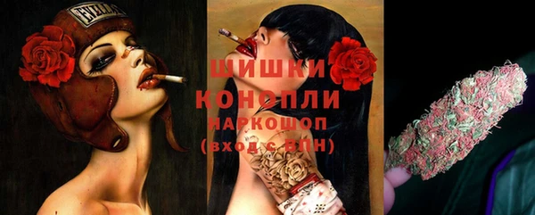 дурь Коряжма