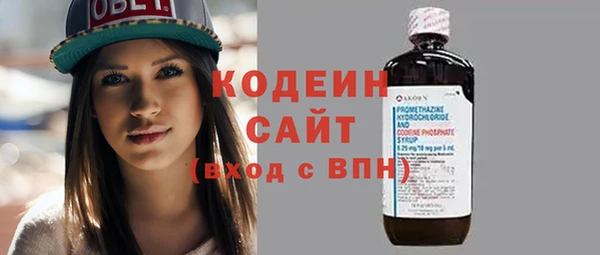 хмурый Кодинск